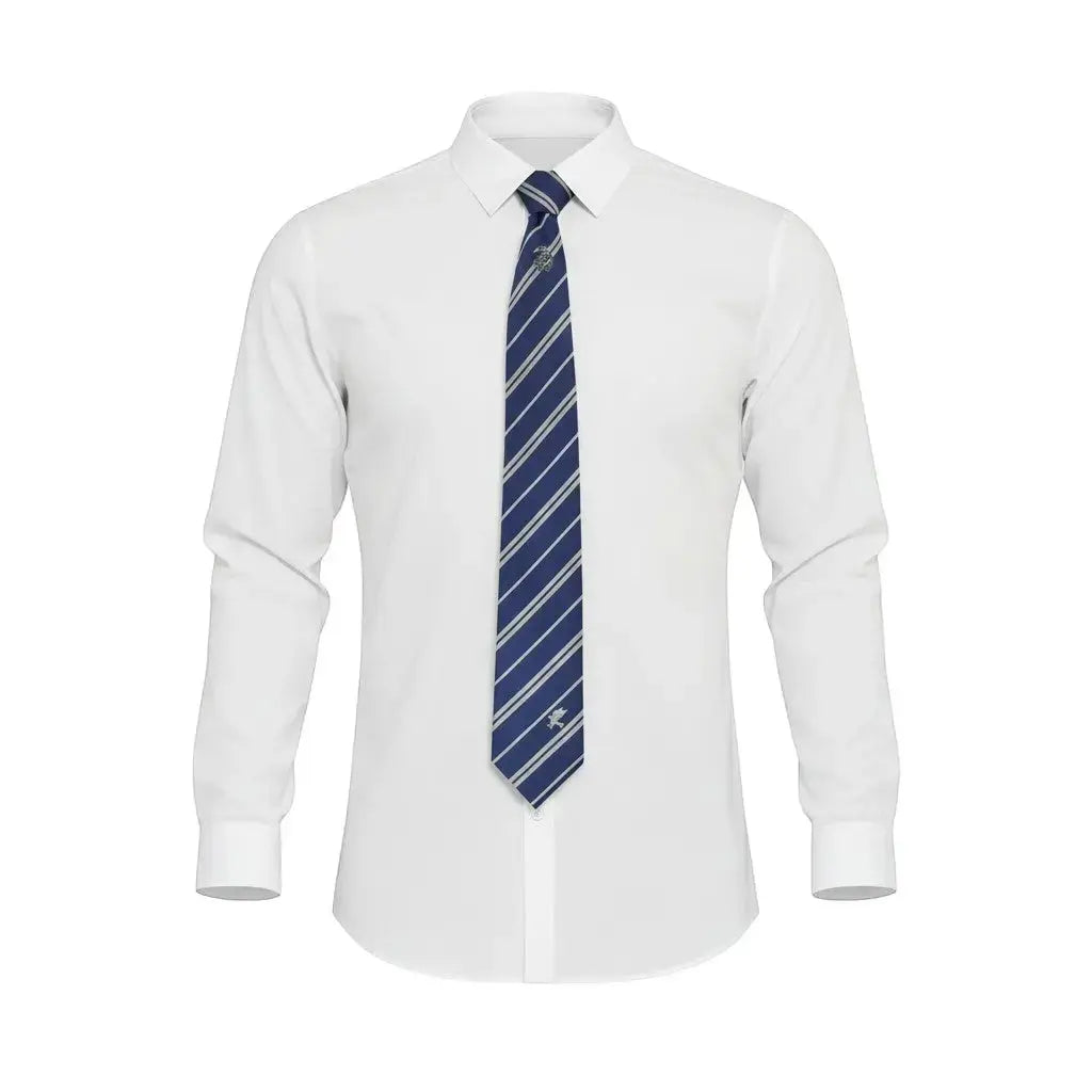 Cravate deluxe Serdaigle La boutique Aux 2 Balais en microfibre bleue à rayures avec épingle et broderie aigle