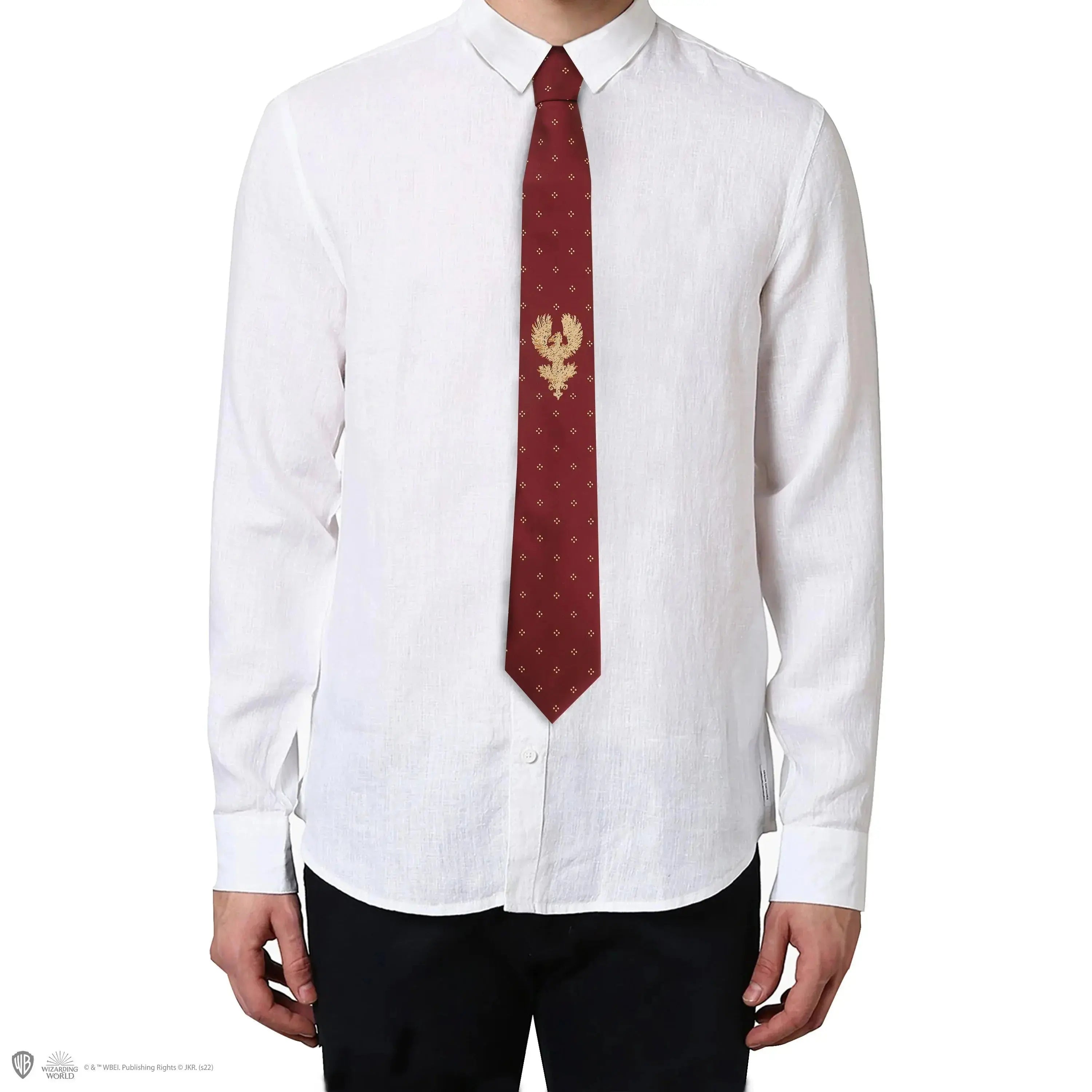 Corbata Los Secretos de Dumbledore
