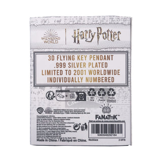 Collier Clé Ailée Harry Potter édition limitée