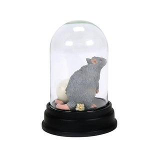 Figurine Croutard Sous Cloche -  La boutique Aux 2 Balais