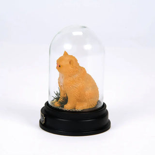 Figurine Pattenrond Sous Cloche -  La boutique Aux 2 Balais