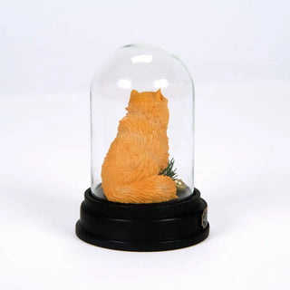 Figurine Pattenrond Sous Cloche -  La boutique Aux 2 Balais