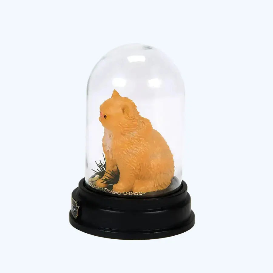 Figurine Pattenrond sous Cloche -  La boutique Aux 2 Balais