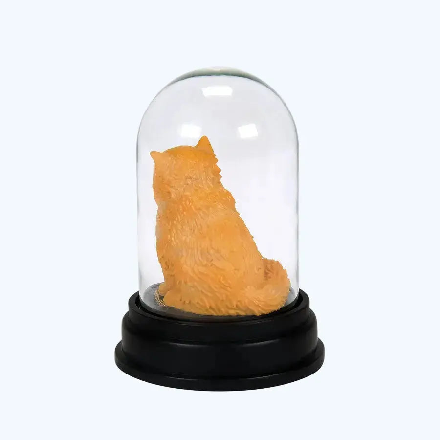 Figurine Pattenrond sous Cloche -  La boutique Aux 2 Balais