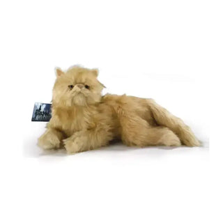 Grande peluche Pattenrond -  La boutique Aux 2 Balais