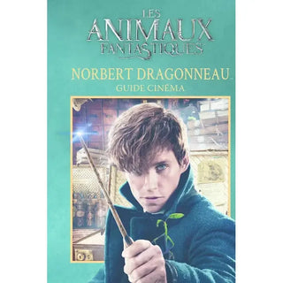 Guide Cinéma - Norbert Dragonneau -  La boutique Aux 2 Balais