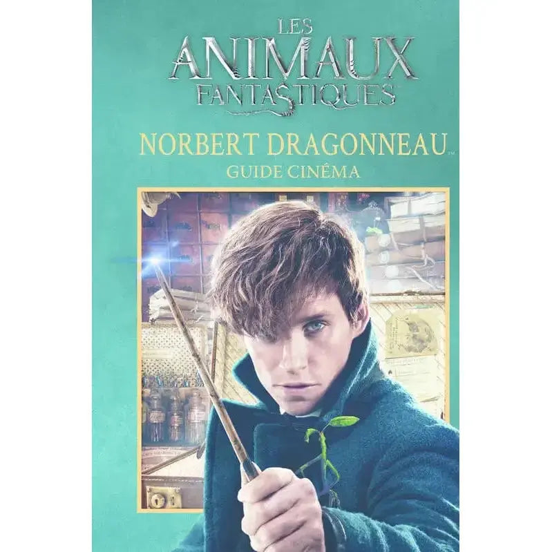 Guide Cinéma - Norbert Dragonneau -  La boutique Aux 2 Balais