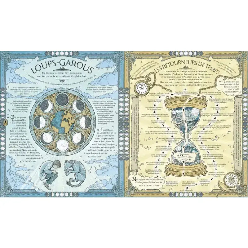HARRY POTTER Le Guide Ultime -  La boutique Aux 2 Balais