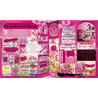 HARRY POTTER Le Guide Ultime -  La boutique Aux 2 Balais