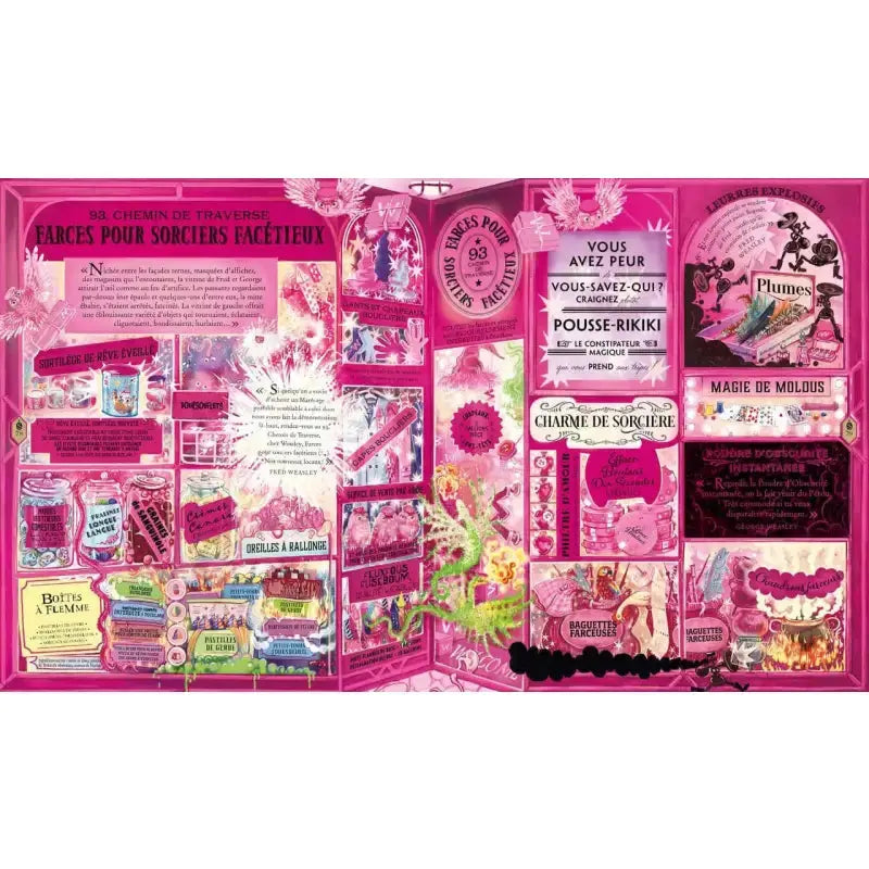 HARRY POTTER Le Guide Ultime -  La boutique Aux 2 Balais
