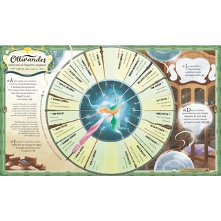 HARRY POTTER Le Guide Ultime -  La boutique Aux 2 Balais