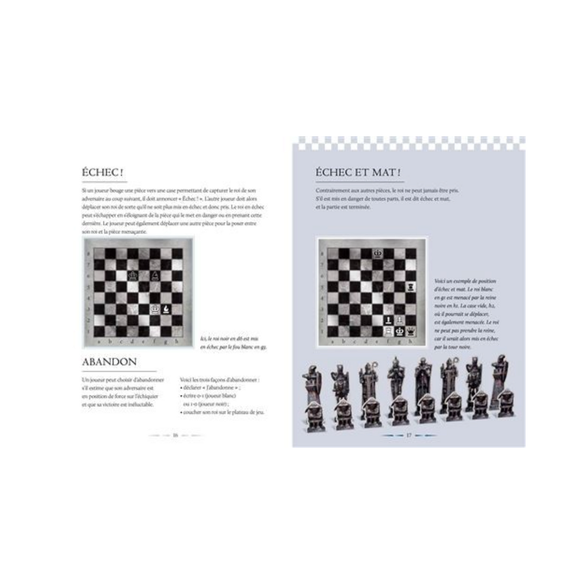 Pages du manuel La boutique Aux 2 Balais illustrant les règles du jeu d'échecs Harry Potter avec schémas et figurines