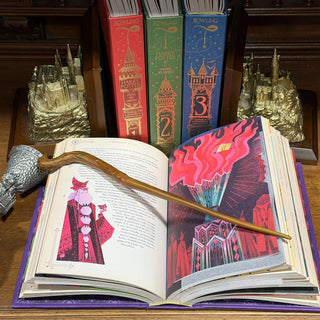 Harry Potter Tome 4 La Coupe de Feu édition interactive -  La boutique Aux 2 Balais