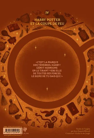 Harry Potter Tome 4 : La Coupe de Feu - Grand Format - La boutique Aux 2 Balais