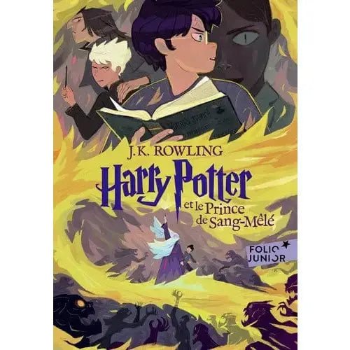 Harry Potter Tome 6 Edition 25ans -  La boutique Aux 2 Balais