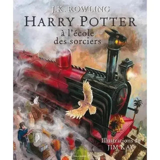 Harry Potter à l'école des Sorciers - Edition Jim Kay -  La boutique Aux 2 Balais