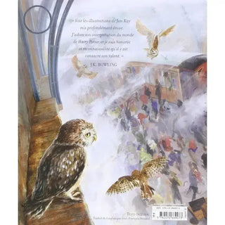 Harry Potter à l'école des Sorciers - Edition Jim Kay -  La boutique Aux 2 Balais