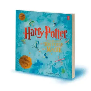 Harry Potter à la découverte de la Magie -  La boutique Aux 2 Balais