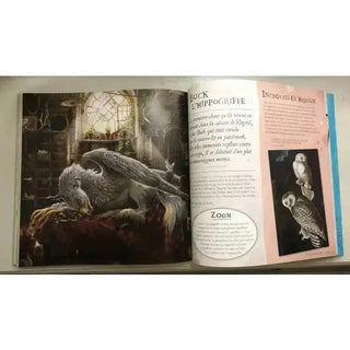 Harry Potter à la découverte de la Magie -  La boutique Aux 2 Balais