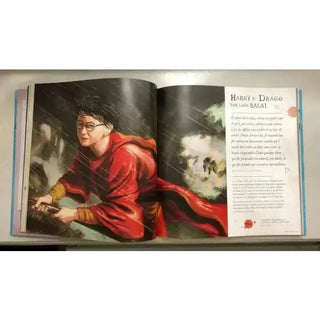 Harry Potter à la découverte de la Magie -  La boutique Aux 2 Balais