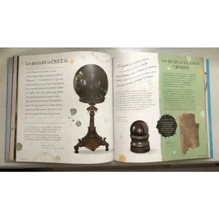 Harry Potter à la découverte de la Magie -  La boutique Aux 2 Balais