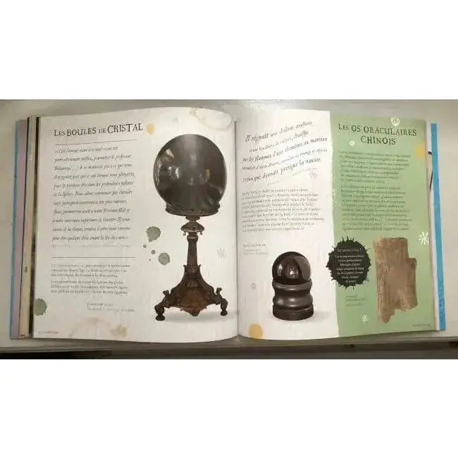 Harry Potter à la découverte de la Magie -  La boutique Aux 2 Balais