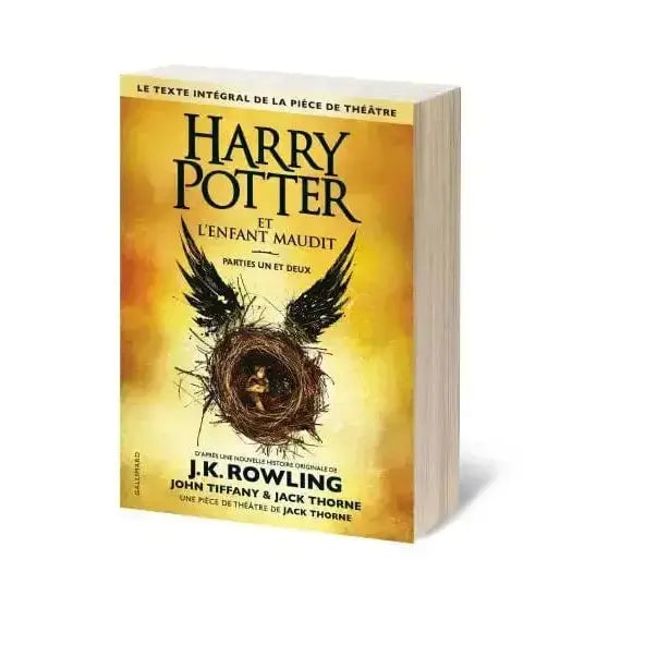 Harry Potter et l'enfant maudit - parties 1 et 2 - Grand Format -  La boutique Aux 2 Balais