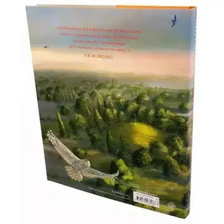 Harry Potter et la Chambre des Secrets - Edition Jim Kay -  La boutique Aux 2 Balais