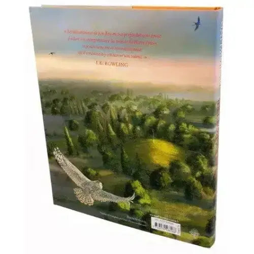 Harry Potter et la Chambre des Secrets - Edition Jim Kay -  La boutique Aux 2 Balais