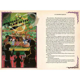 Harry Potter et le Prisonnier d'Azkaban Minalima -  La boutique Aux 2 Balais