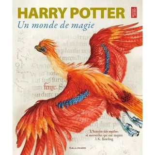 Harry Potter, Un monde de magie -  La boutique Aux 2 Balais