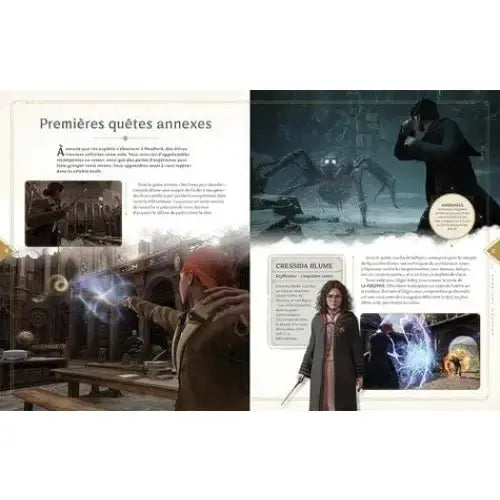 Hogwarts Legacy Le guide Officiel -  La boutique Aux 2 Balais