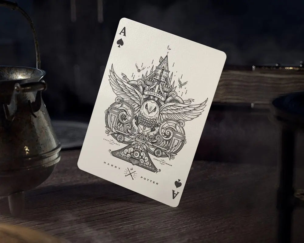 Jeu de cartes Harry Potter Gryffondor Editon Premium -  La boutique Aux 2 Balais
