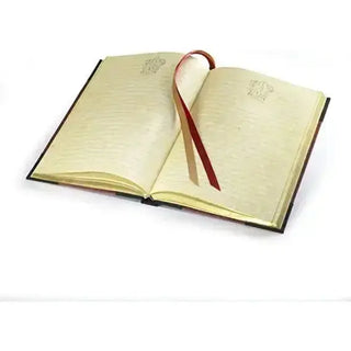 Journal Gryffondor -  La boutique Aux 2 Balais