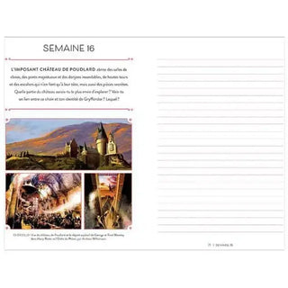 Journal Intime Gryffondor -  La boutique Aux 2 Balais