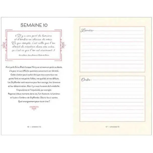 Journal Intime Gryffondor -  La boutique Aux 2 Balais