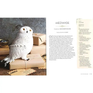 La Magie du Tricot -  La boutique Aux 2 Balais