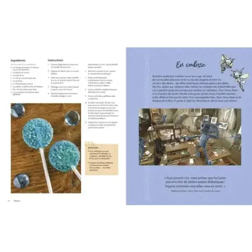 La Magie fait maison -  La boutique Aux 2 Balais