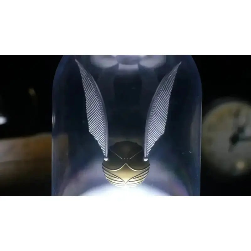 Lampe Vif d'Or Tactile -  La boutique Aux 2 Balais