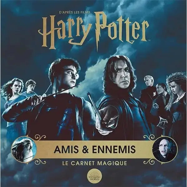 Le Carnet Magique 6 - Amis et Enemies -  La boutique Aux 2 Balais
