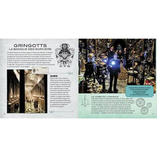 Le Carnet Magique - Le Chemin de Traverse -  La boutique Aux 2 Balais