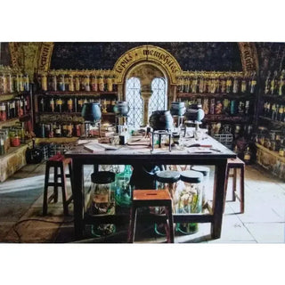 Le Carnet Magique - Les Forces du Mal -  La boutique Aux 2 Balais