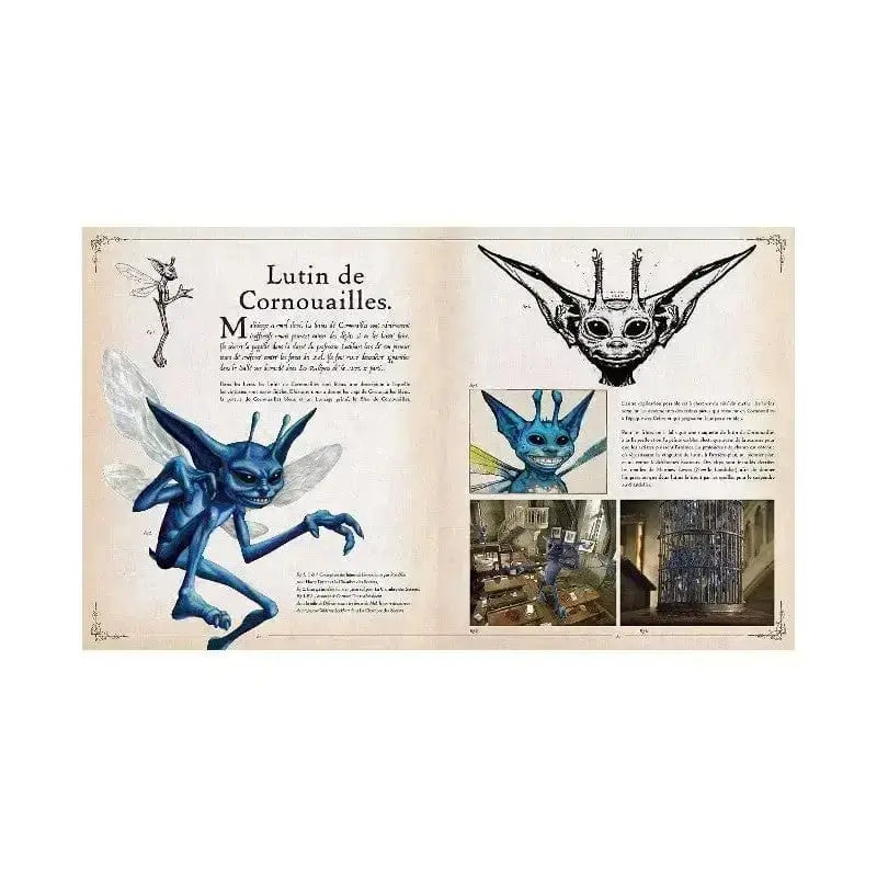 Le Grand Livre des Créatures -  La boutique Aux 2 Balais