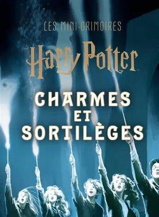 Livre Harry Potter : Charmes et Sortilèges - Mini Grimoire T1 -  La boutique Aux 2 Balais