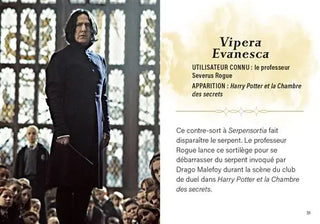 Livre Harry Potter : Charmes et Sortilèges - Mini Grimoire T1 -  La boutique Aux 2 Balais