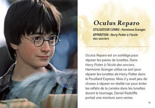 Livre Harry Potter : Charmes et Sortilèges - Mini Grimoire T1 -  La boutique Aux 2 Balais