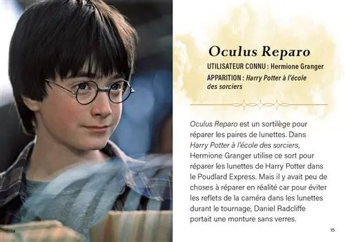 Livre Harry Potter : Charmes et Sortilèges - Mini Grimoire T1 -  La boutique Aux 2 Balais