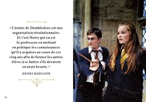 Livre Harry Potter : Charmes et Sortilèges - Mini Grimoire T1 -  La boutique Aux 2 Balais