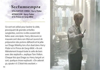 Livre Harry Potter : Charmes et Sortilèges - Mini Grimoire T1 -  La boutique Aux 2 Balais