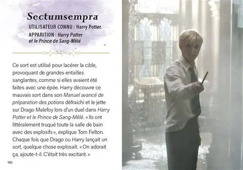 Livre Harry Potter : Charmes et Sortilèges - Mini Grimoire T1 -  La boutique Aux 2 Balais